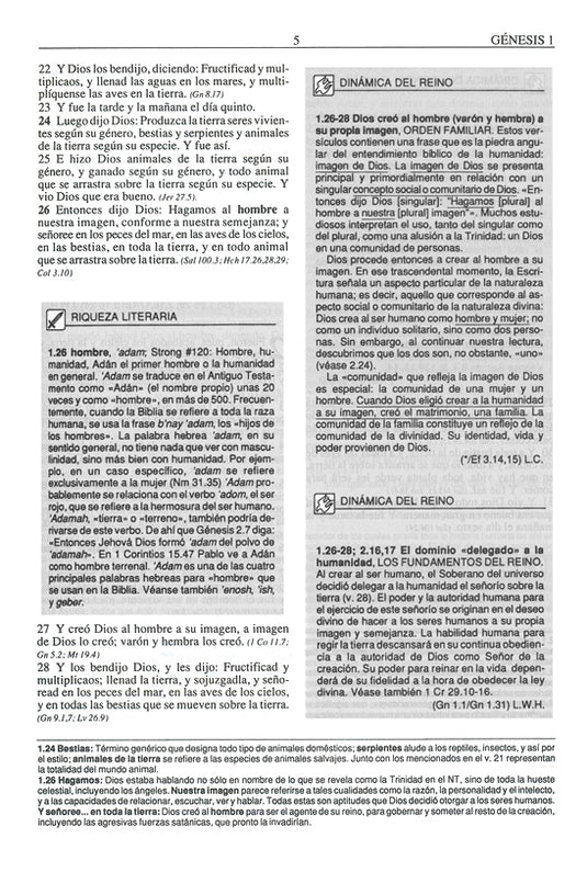 Biblia de Estudio Plenitud RVR 1960, Tamaño Personal, imitación piel negra