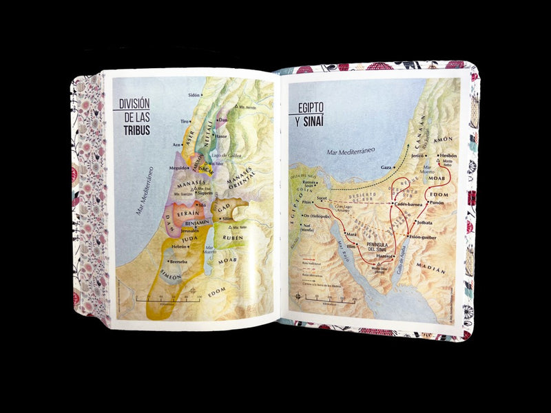 Cargue la imagen en el visor de la galería, Biblia RVR 1960, Tamaño portátil, Letra Grande, imitación piel turquesa primaveral
