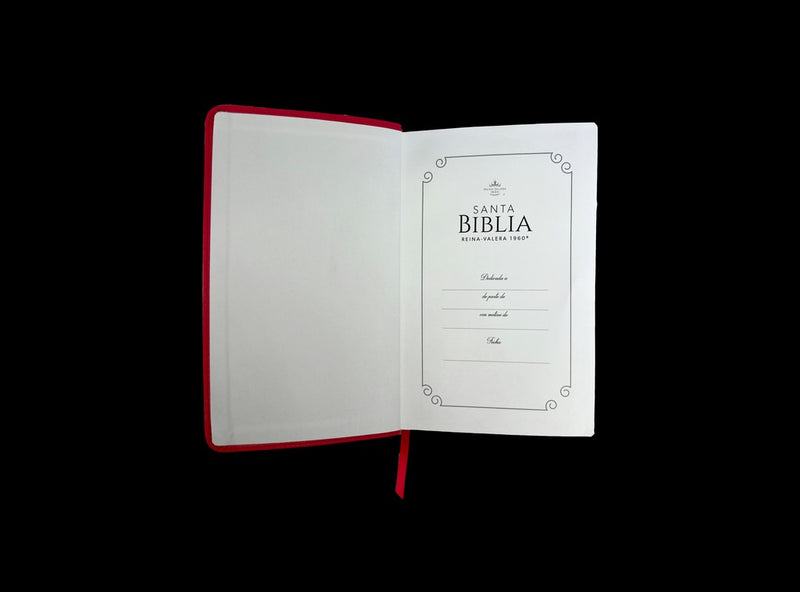Cargue la imagen en el visor de la galería, Biblia RVR 1960, Letra Grande, con índice, imitación piel fucsia
