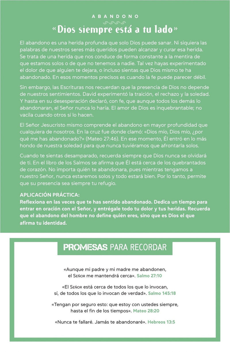 Cargue la imagen en el visor de la galería, Biblia de promesas edición para hombres jóvenes NTV, tapa dura
