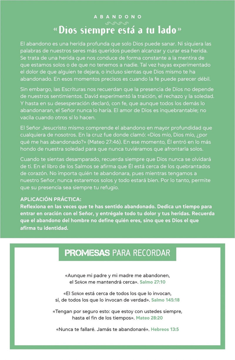 Cargue la imagen en el visor de la galería, Biblia de promesas edición para hombres jóvenes NTV, tapa dura
