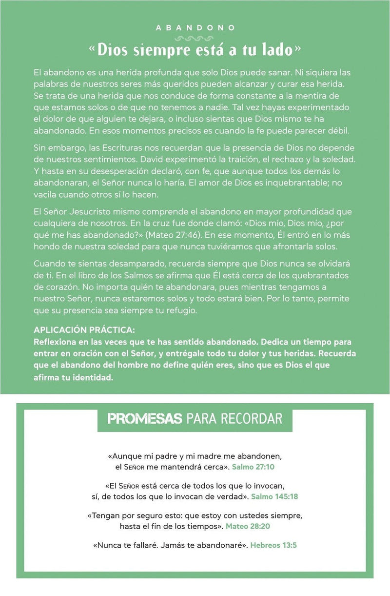 Cargue la imagen en el visor de la galería, Biblia de promesas edición para hombres jóvenes NTV, tapa dura
