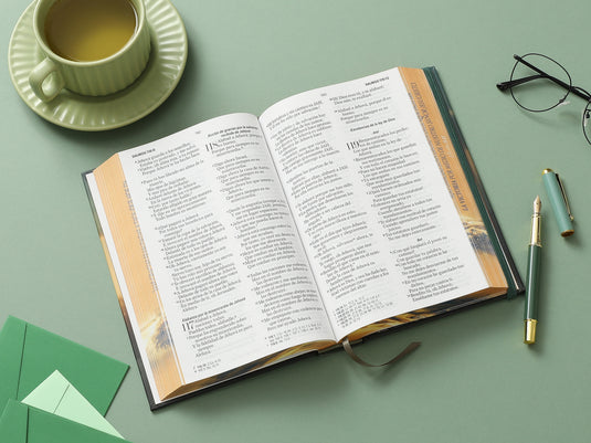 Biblia RVR 1960, Tamaño Manual, Letra Grande, tapa dura con elástico León de Victoria
