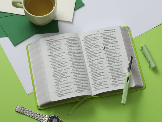 Biblia RVR 1960, Tamaño portátil, Letra Grande, imitación piel verde lima