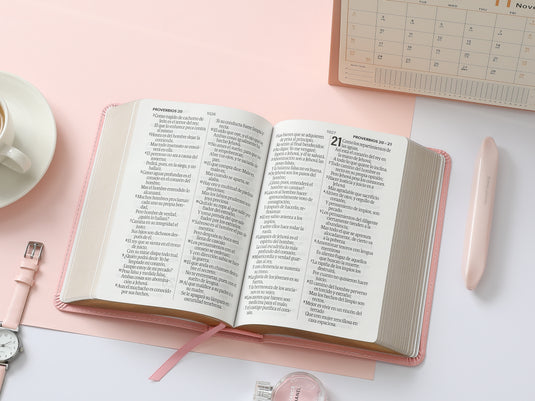Biblia RVR 1960, Tamaño portátil, Letra Grande, imitación piel rosada