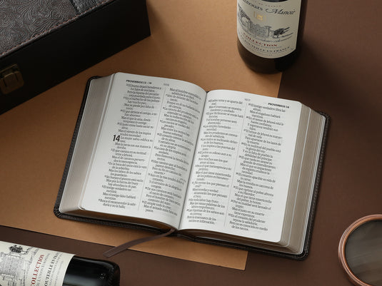 Biblia RVR 1960, Tamaño portátil, Letra Grande, imitación piel café mocha