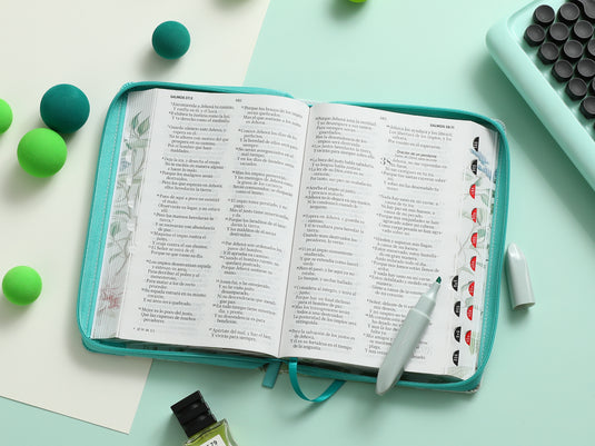 Biblia RVR 1960, Tamaño portátil, Cierre zíper, con índice, Letra Grande, imitación piel menta mariposas