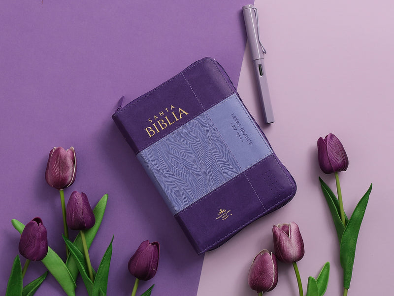 Cargue la imagen en el visor de la galería, Biblia RVR 1960, Tamaño portátil, Cierre zíper, con índice, Letra Grande, imitación piel morada

