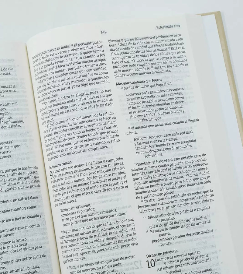Cargue la imagen en el visor de la galería, Biblia NVI, Tapa dura cruz
