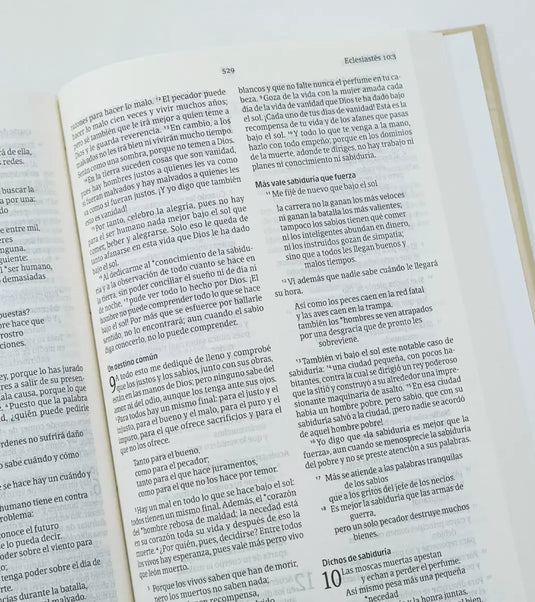 Biblia NVI, Tapa dura cruz