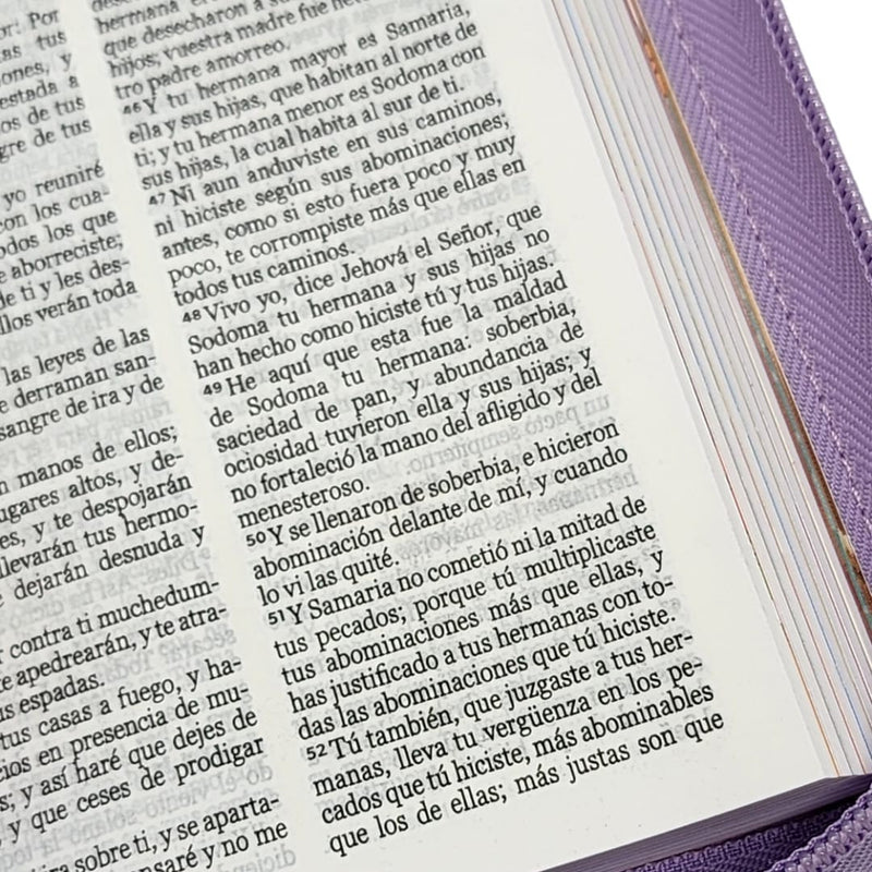 Cargue la imagen en el visor de la galería, Biblia para niños de bolsillo Mi gran viaje RVR 1960, Cierre zíper, imitación piel lila
