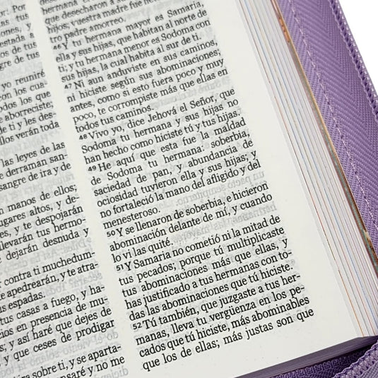 Biblia para niños de bolsillo Mi gran viaje RVR 1960, Cierre zíper, imitación piel lila