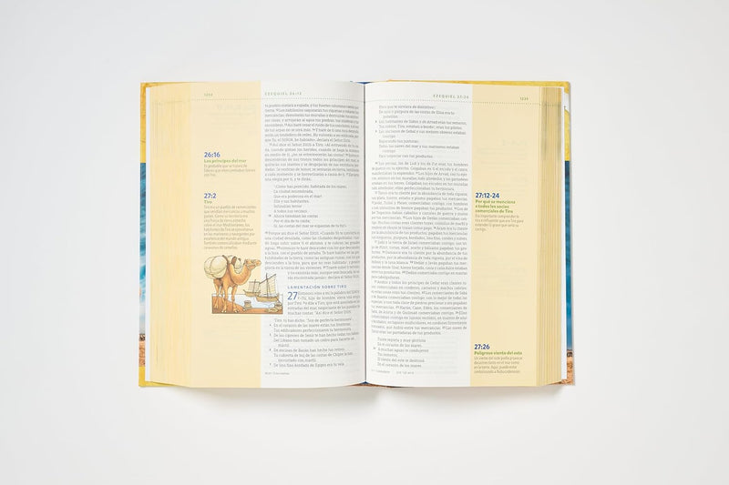 Cargue la imagen en el visor de la galería, Biblia visual de estudio NBLA para niños, Tapa Dura: Explora la Biblia: personajes, lugares e historia
