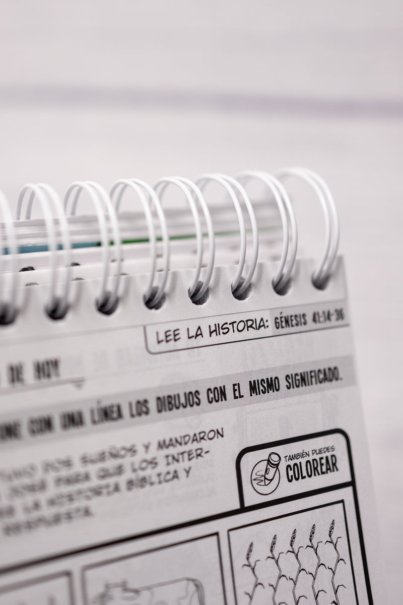 Cargue la imagen en el visor de la galería, 365 Actividades para Niños
