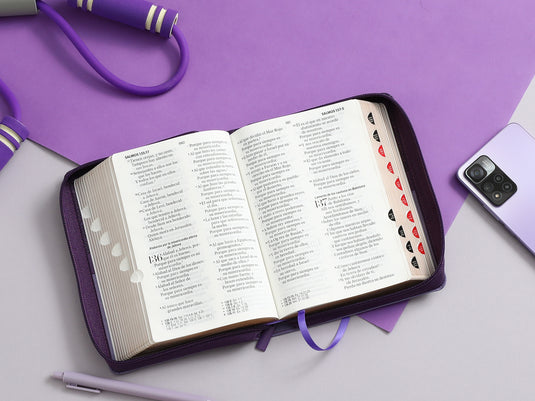 Biblia RVR 1960, Tamaño portátil, Cierre zíper, con índice, Letra Grande, imitación piel tonos lila