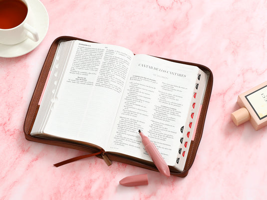 Biblia RVR 1960, Cierre zíper, con índice, Letra Grande, imitación piel gris,rosa,café