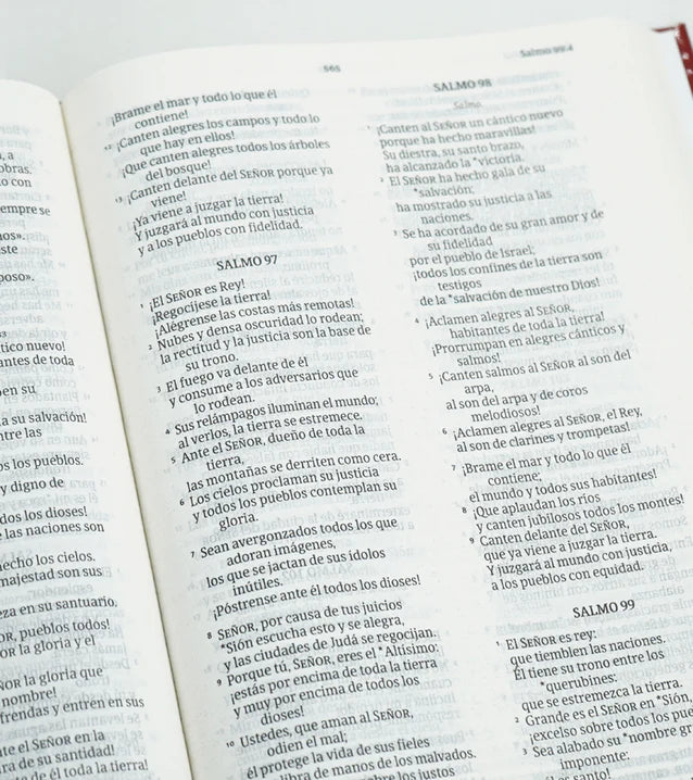Cargue la imagen en el visor de la galería, Santa Biblia NVI, Letra Grande, Tapa dura Corona Espina
