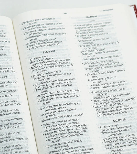 Santa Biblia NVI, Letra Grande, Tapa dura Corona Espina