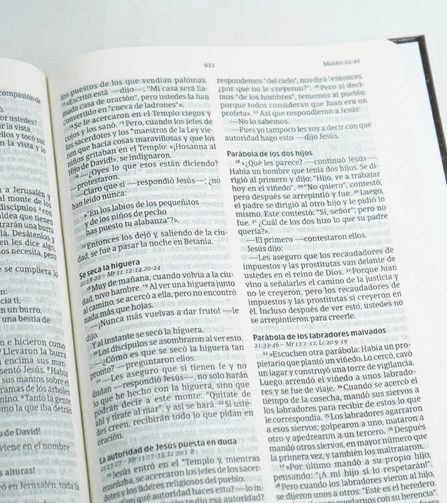 Cargue la imagen en el visor de la galería, Biblia NVI, Letra Grande, Tapa dura círculos
