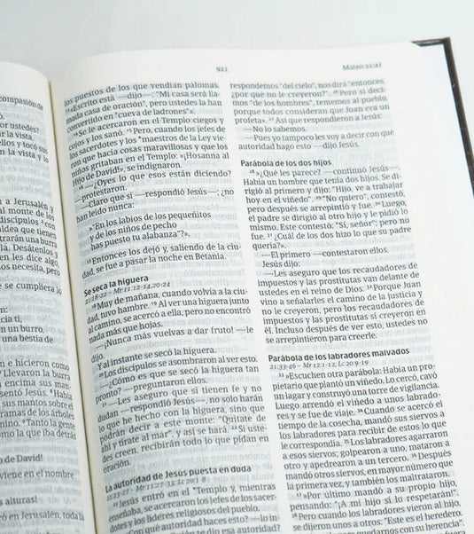 Biblia NVI, Letra Grande, Tapa dura círculos