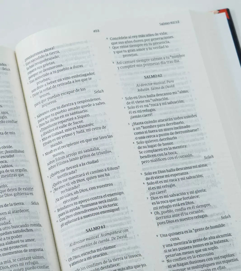 Cargue la imagen en el visor de la galería, Biblia NVI, Tapa dura azul
