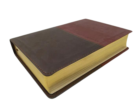 Santa Biblia NTV, Edición personal, Letra Grande, Duotono (Sentipiel café/café claro)