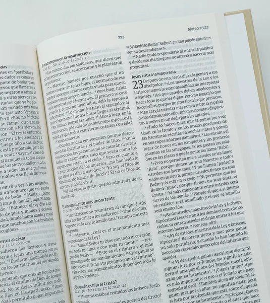 Biblia NVI, Tapa dura cruz