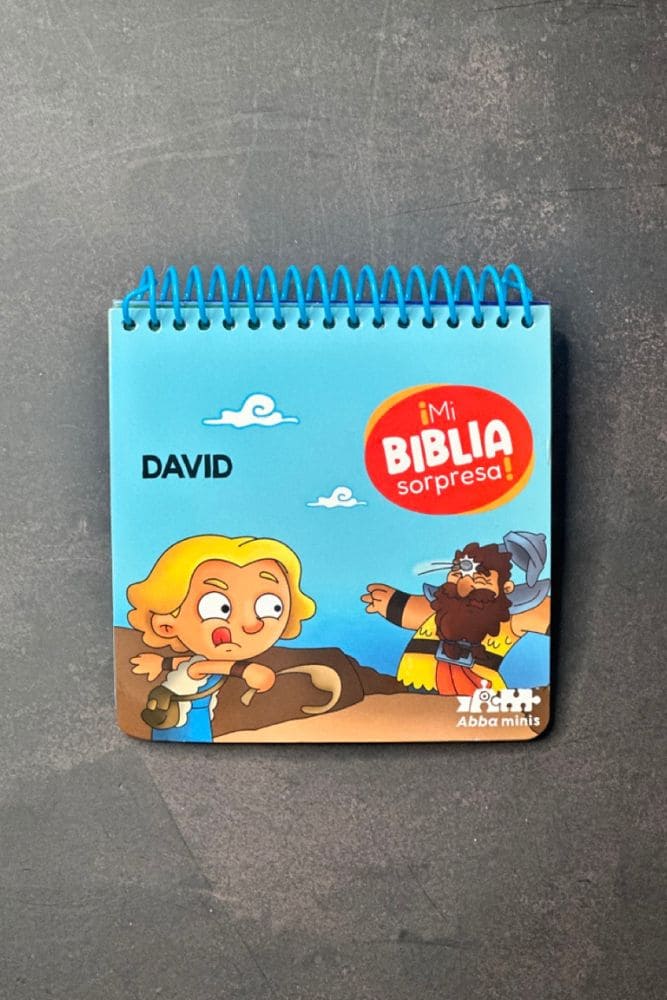 Cargue la imagen en el visor de la galería, David- Pinta con Agua (Mi Biblia Sorpresa)
