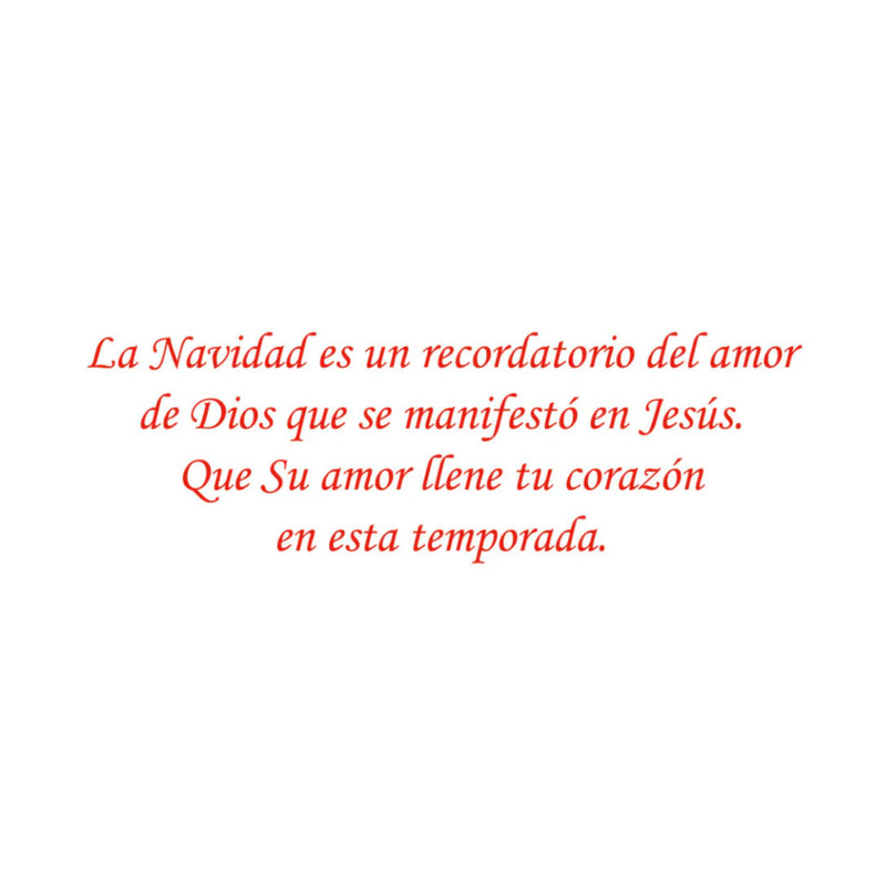Cargue la imagen en el visor de la galería, Tarjeta de regalo con sobre interior ¡Feliz Navidad!
