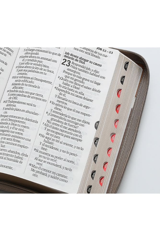 Cargue la imagen en el visor de la galería, Biblia RVR 1960, Letra Gigante, Cierre zíper, con índice, imitación piel marrón
