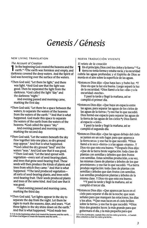 Cargue la imagen en el visor de la galería, Biblia Bilingüe NLT/NTV
