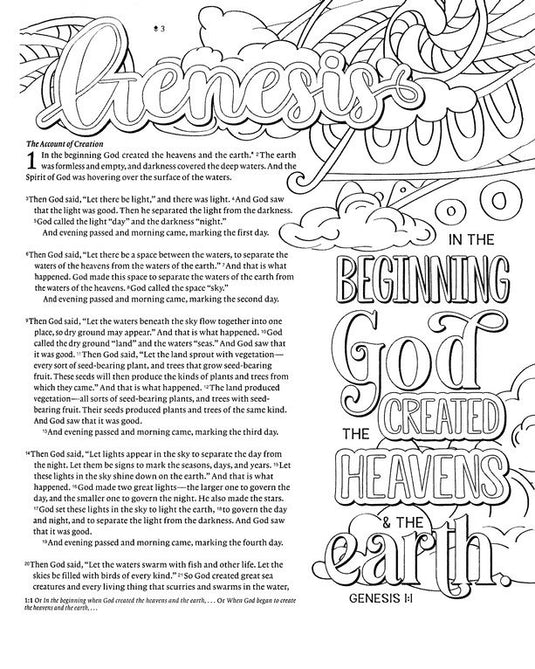 Inspire FAITH Bible NLT, Filament Enabled