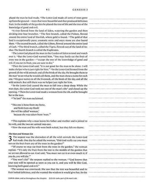 Inspire FAITH Bible NLT, Filament Enabled