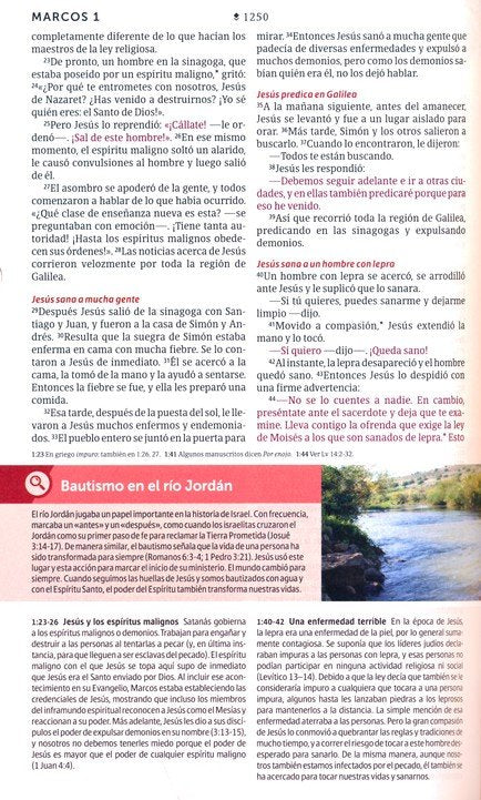 Cargue la imagen en el visor de la galería, Biblia de estudio del Diario Vivir para jóvenes NTV con Filament, con índice, Sentipiel rosa
