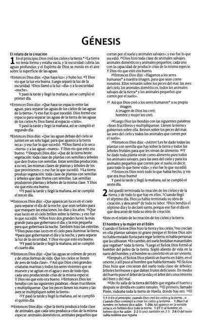Cargue la imagen en el visor de la galería, Biblia Económica NTV, Edición Semilla (Tapa Rústica)
