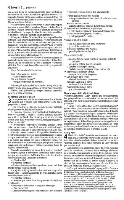 Cargue la imagen en el visor de la galería, Biblia Económica NTV, Edición Semilla (Tapa Rústica)
