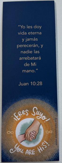 Separador de libros 