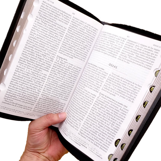 Biblia RVR 1960, Letra Grande, Tamaño Manual, Cierre zíper, simil piel negra con nombres de Dios