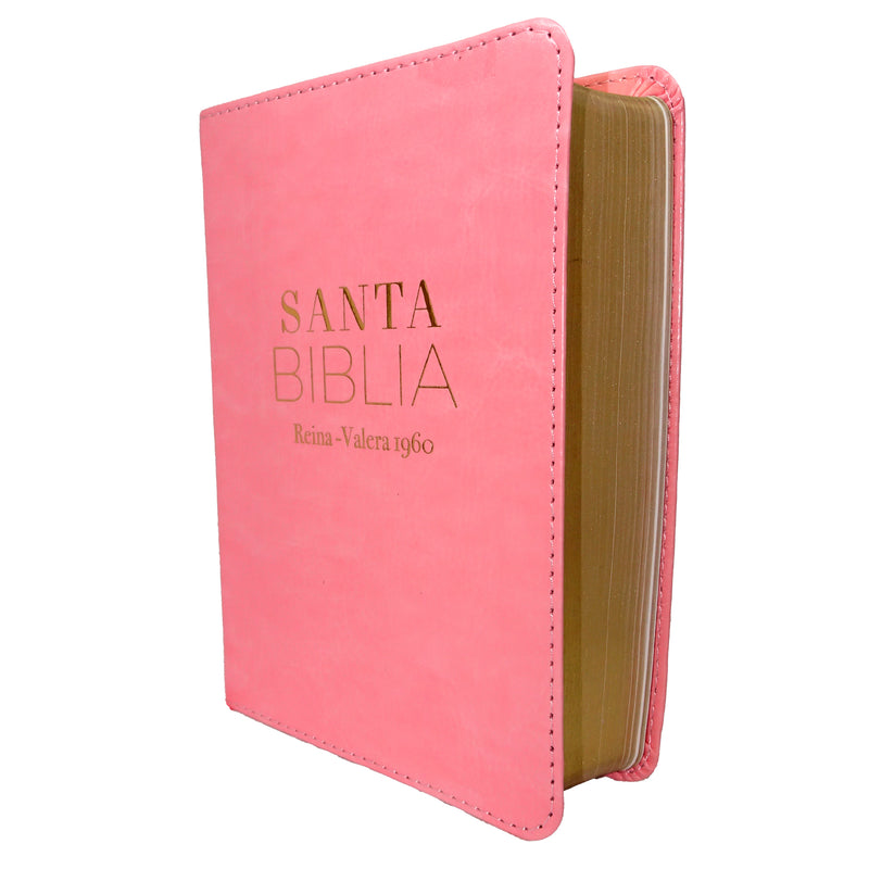 Cargue la imagen en el visor de la galería, Biblia RVR 1960, Tamaño Bolsillo, imitación piel rosada
