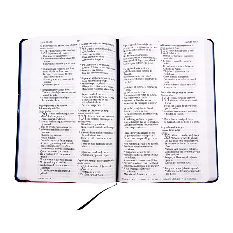 Cargue la imagen en el visor de la galería, Biblia León de Judá RVR 1960, Letra Grande, Tamaño Manual, tapa dura arcoíris
