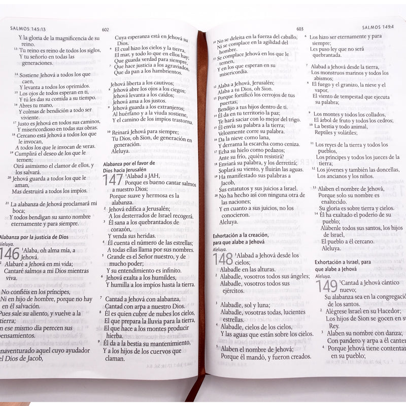 Cargue la imagen en el visor de la galería, Biblia León de Judá RVR 1960, Letra Grande, Tamaño Manual, Tapa dura marrón
