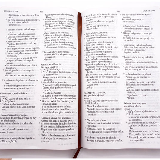 Biblia León de Judá RVR 1960, Letra Grande, Tamaño Manual, Tapa dura marrón