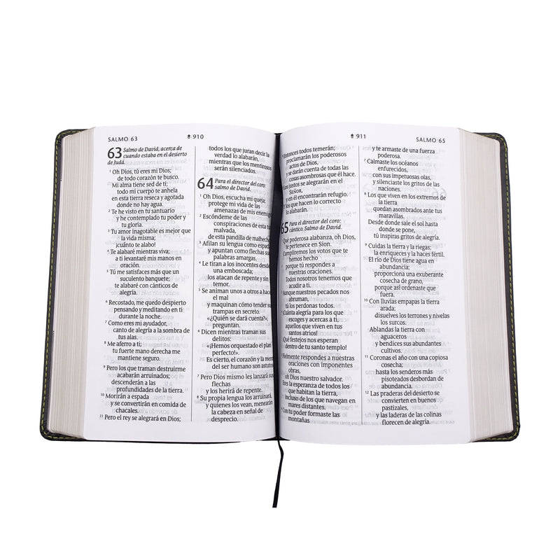 Cargue la imagen en el visor de la galería, Biblia compacta NTV, con Filament, Letra Gigante, SentiPiel gris
