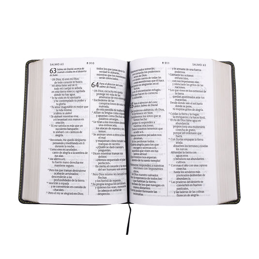 Biblia compacta NTV, con Filament, Letra Gigante, SentiPiel gris