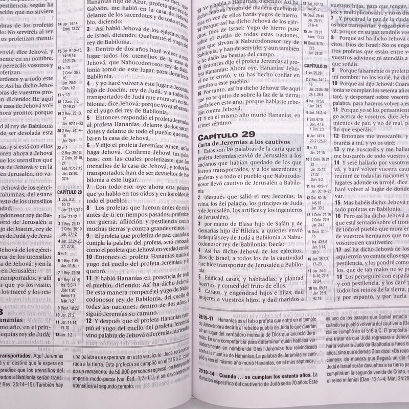 Cargue la imagen en el visor de la galería, Biblia de Estudio de la Profecía RVR 1960, Tapa dura
