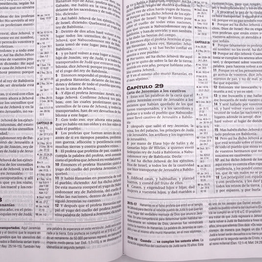 Biblia de Estudio de la Profecía RVR 1960, Tapa dura