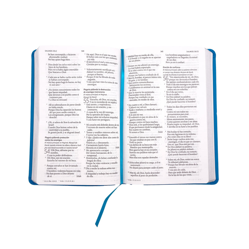 Cargue la imagen en el visor de la galería, Biblia RVR 1960, Letra Grande, Tamaño Manual, símil piel azul
