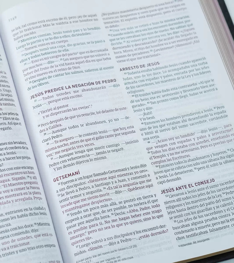 Cargue la imagen en el visor de la galería, Biblia Ministerial NVI, imitación piel negra
