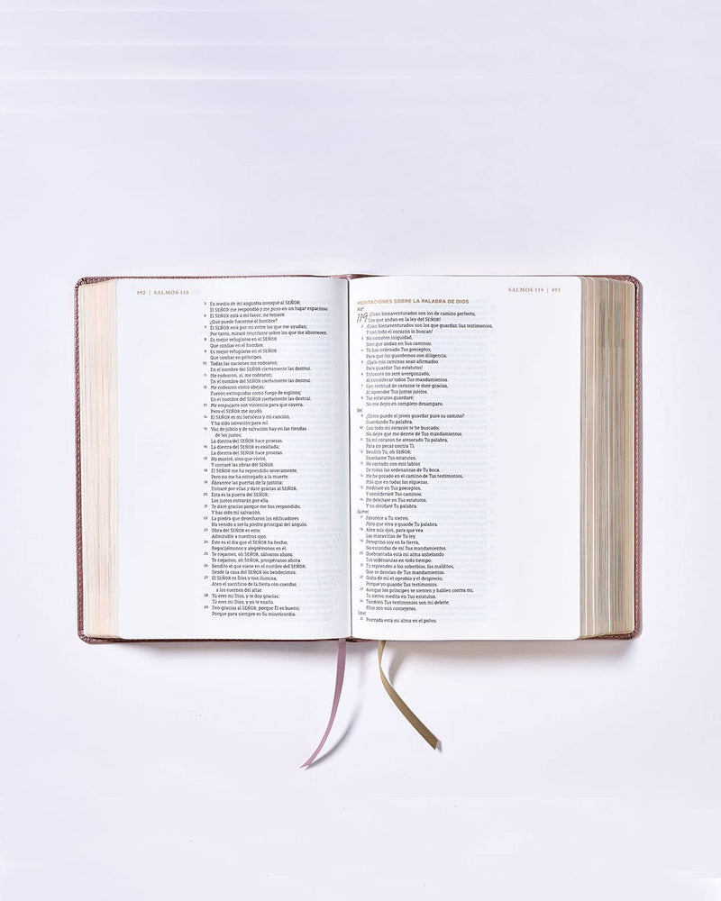 Cargue la imagen en el visor de la galería, Santa Biblia NBLA, Ama a Dios Grandemente, Interior a cuatro colores, imitación piel oro rosa
