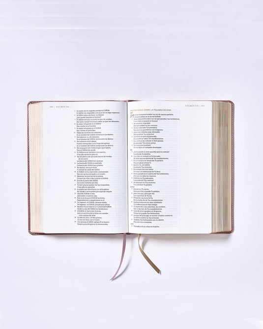 Santa Biblia NBLA, Ama a Dios Grandemente, Interior a cuatro colores, imitación piel oro rosa
